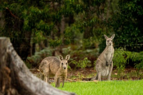 Kalaru Holiday Park, Tathra